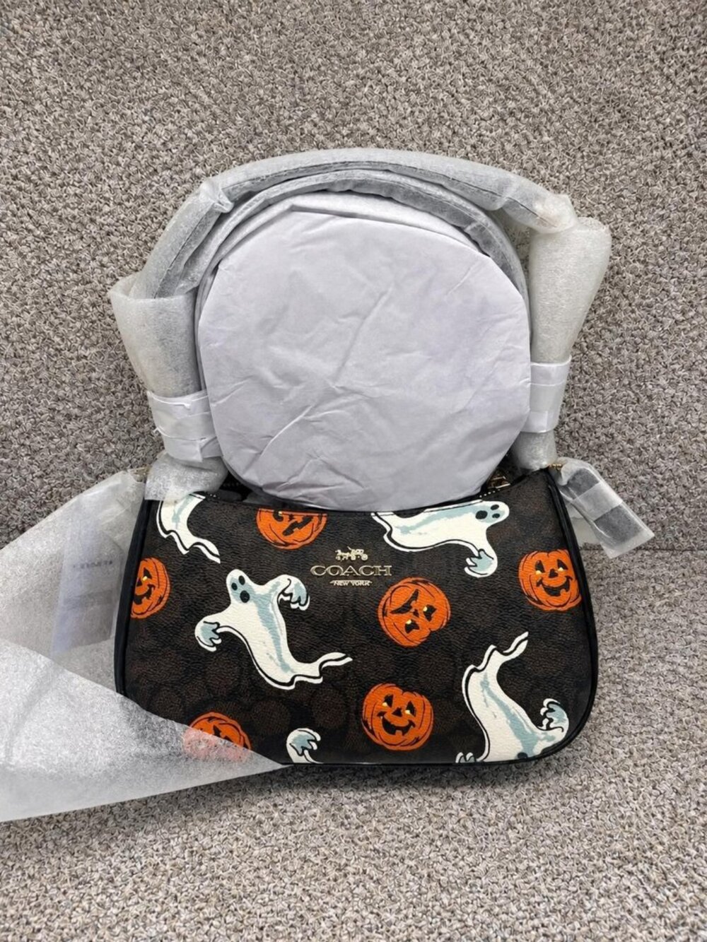 Coach Teri Shoulder Bag in Signature Canvas with Spooky Halloween Print